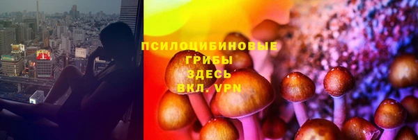 меф Касимов